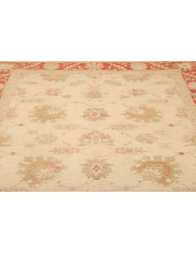 Tappeto Zigler Pakistan cm.197x248