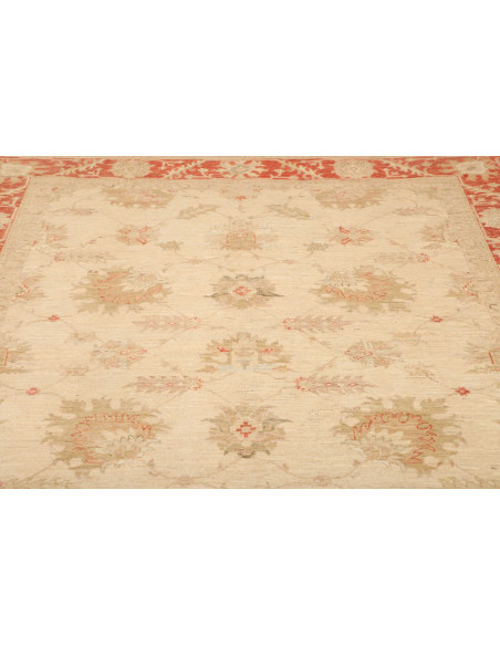 Tappeto Zigler Pakistan cm.197x248