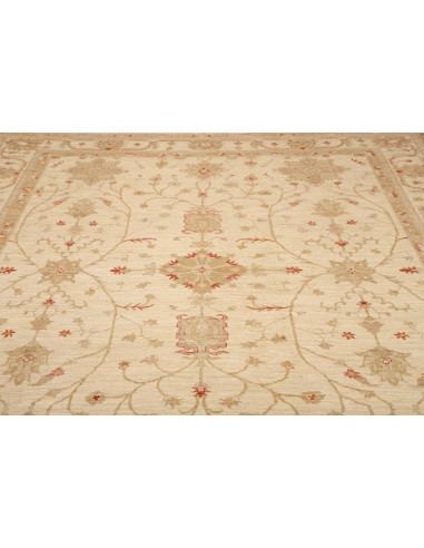 Tappeto Zigler Pakistan cm.246x295