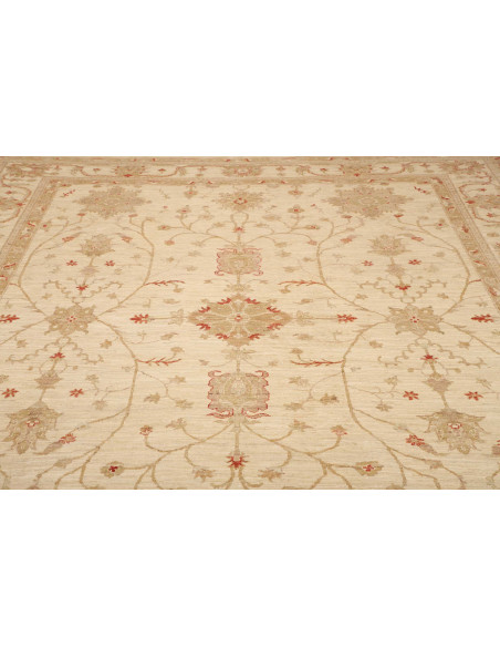 Tappeto Zigler Pakistan cm.246x295