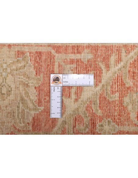 Tappeto Zigler Pakistan cm.197x248