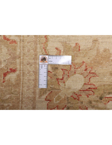 Tappeto Zigler Pakistan cm.246x295