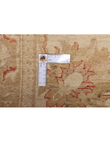 Tappeto Zigler Pakistan cm.246x295