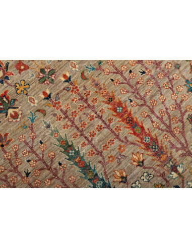 Tappeto Shahi Fine Pakistan cm.204x293