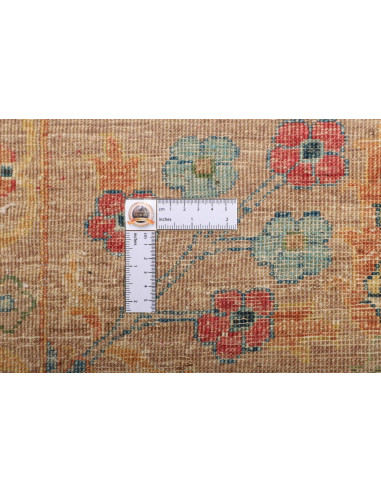 Tappeto Zigler Pakistan cm.269x364