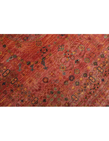 Tappeto Shahi Fine Pakistan cm.245x307