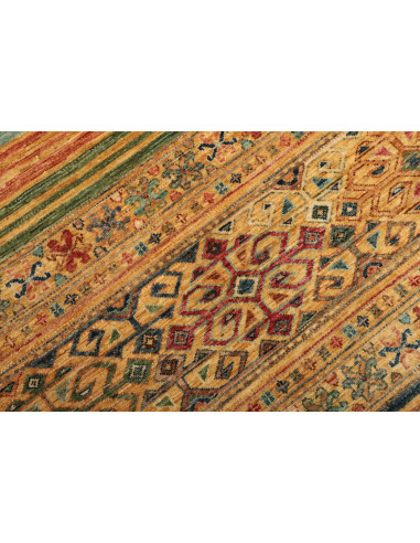 Tappeto Rubin Pakistan cm.169x236