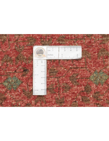 Tappeto Ziegler Mammalucchi Pakistan cm.200x299