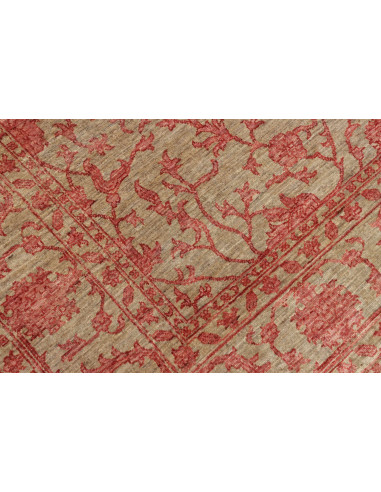 Tappeto Zigler Pakistan cm.204x304