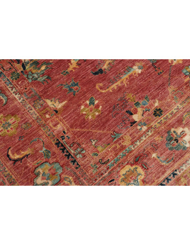 Tappeto Zigler Pakistan cm.200x291