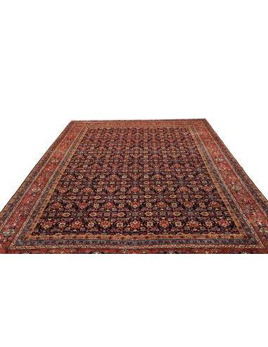 Tappeto Sarough Persia cm.260x360
