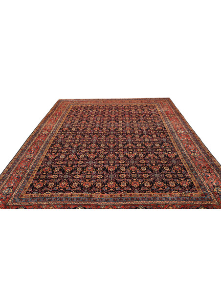 Tappeto Sarough Persia cm.260x360