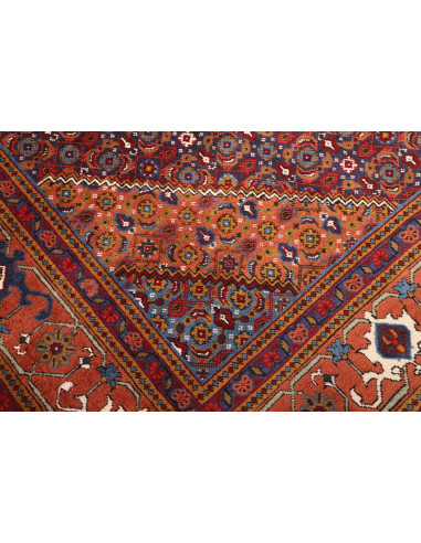 Tappeto Ardebil Persia cm.210x307