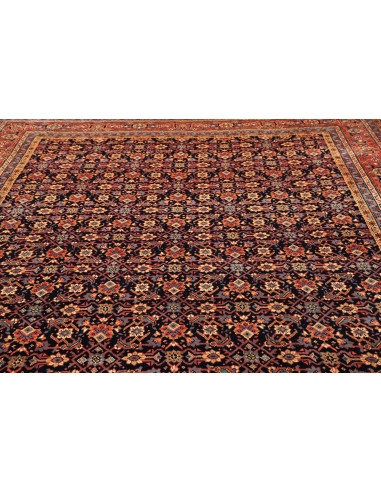 Tappeto Sarough Persia cm.260x360