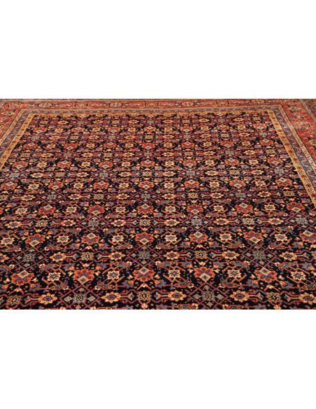 Tappeto Sarough Persia cm.260x360
