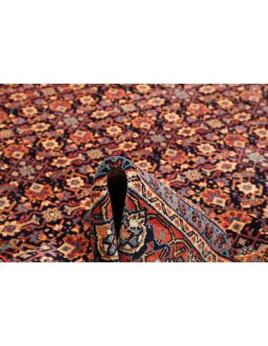 Tappeto Sarough Persia cm.260x360