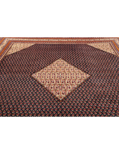 Tappeto Sarough Persia cm.285x340