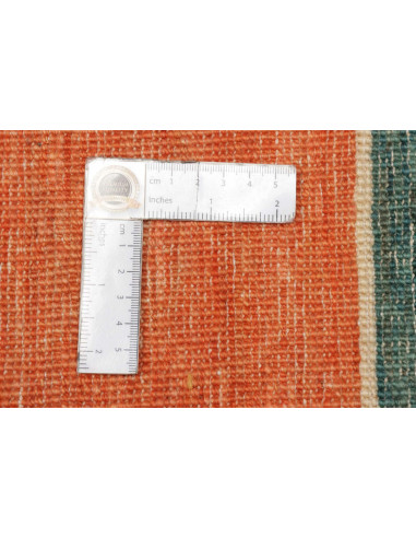 Tappeto Barjeste Pakistan cm.171x236