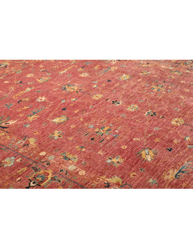 Tappeto Zigler Pakistan cm.251x355