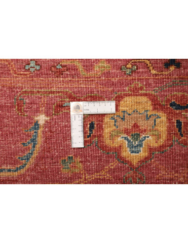 Tappeto Zigler Pakistan cm.251x355