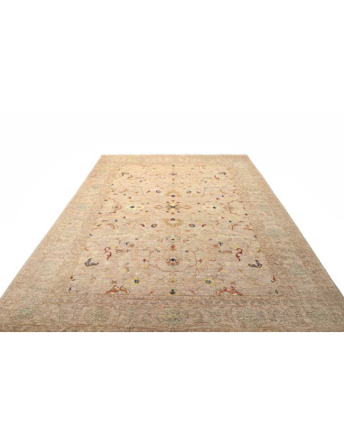 Tappeto Zigler Pakistan cm.246x319