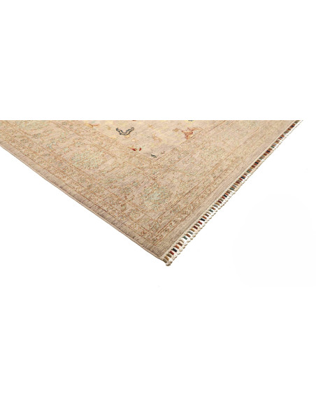 Tappeto Zigler Pakistan cm.246x319