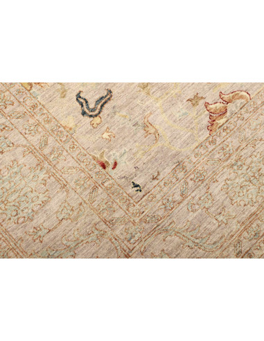 Tappeto Zigler Pakistan cm.246x319