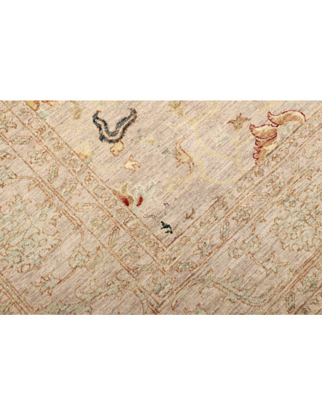 Tappeto Zigler Pakistan cm.246x319