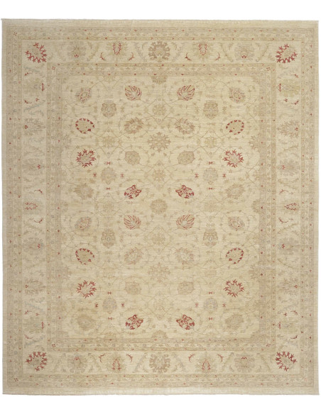 Tappeto Zigler Pakistan cm.397x470