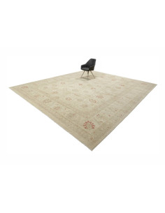 Tappeto Zigler Pakistan cm.397x470 2