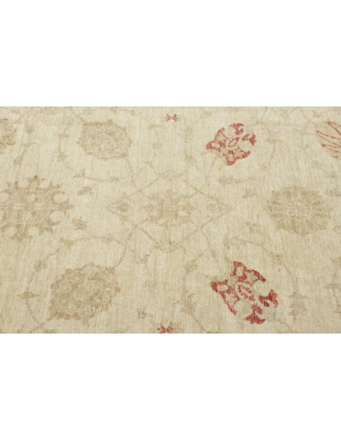 Tappeto Zigler Pakistan cm.397x470