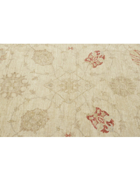 Tappeto Zigler Pakistan cm.397x470