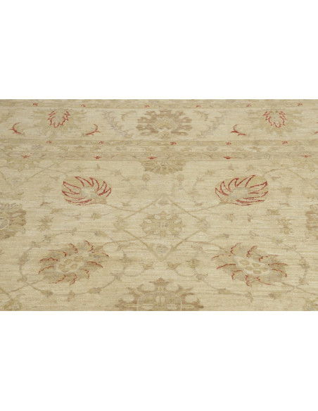 Tappeto Zigler Pakistan cm.397x470