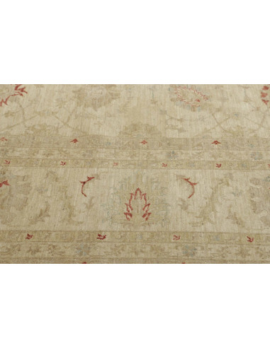 Tappeto Zigler Pakistan cm.397x470