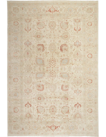 Tappeto Zigler Pakistan cm.368x553