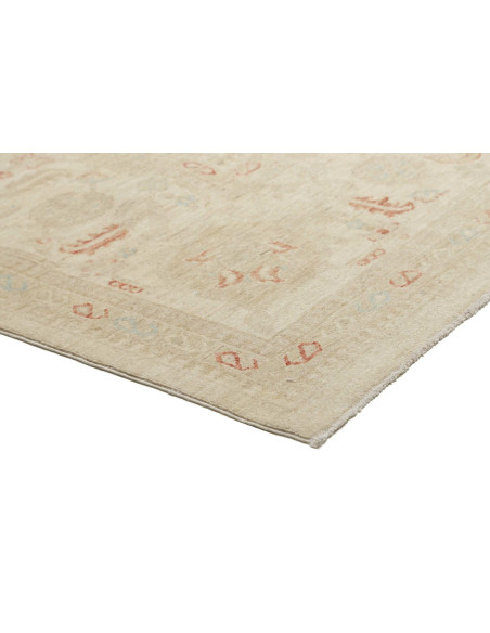 Tappeto Zigler Pakistan cm.368x553