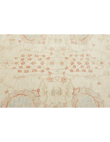 Tappeto Zigler Pakistan cm.368x553