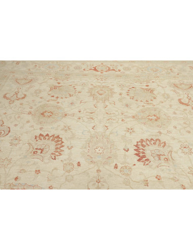 Tappeto Zigler Pakistan cm.368x553