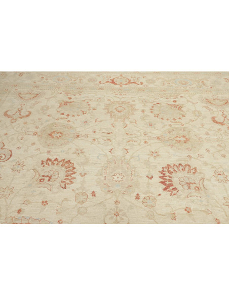 Tappeto Zigler Pakistan cm.368x553