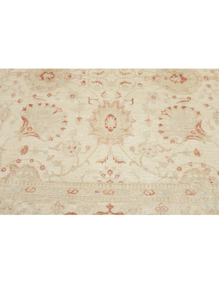 Tappeto Zigler Pakistan cm.368x553