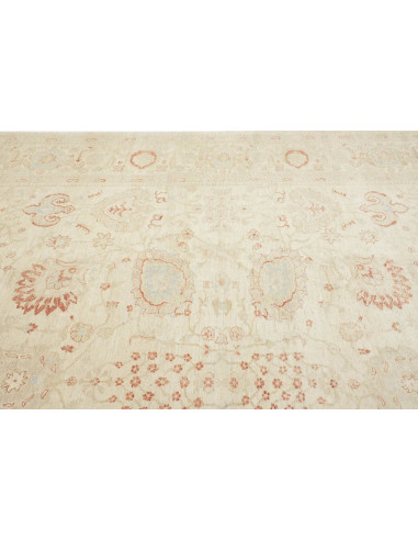 Tappeto Zigler Pakistan cm.368x553