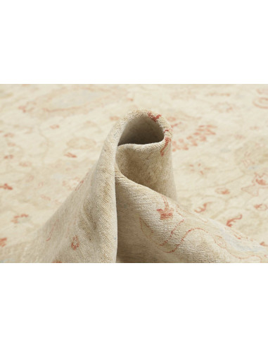 Tappeto Zigler Pakistan cm.368x553