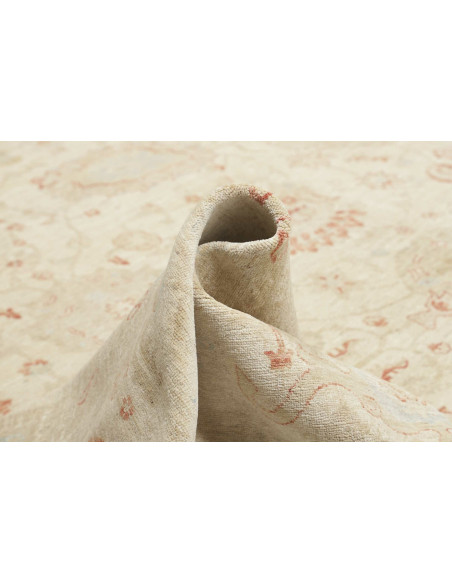 Tappeto Zigler Pakistan cm.368x553