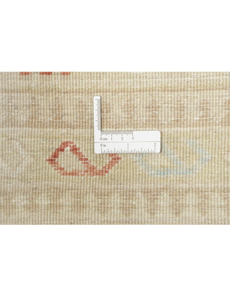 Tappeto Zigler Pakistan cm.368x553