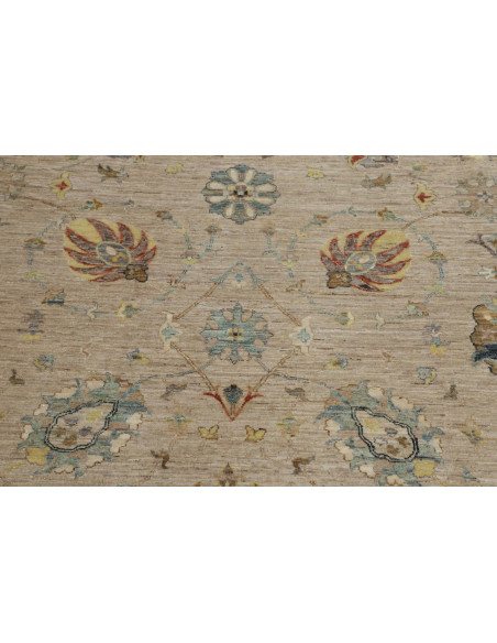 Tappeto Zigler Pakistan cm.380x502