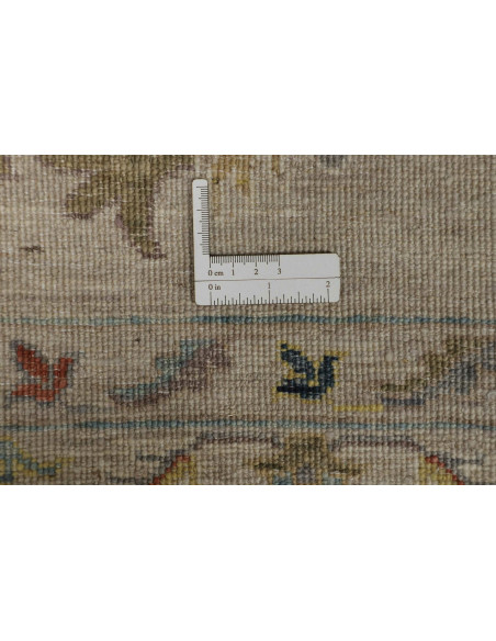 Tappeto Zigler Pakistan cm.380x502