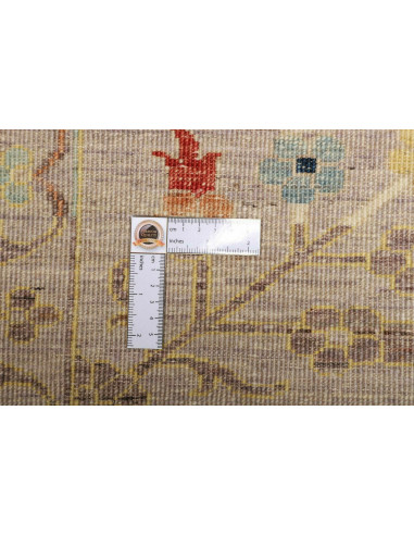 Tappeto Zigler Pakistan cm.295x391