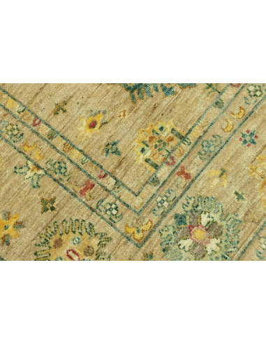 Tappeto Zigler Pakistan cm.170x249