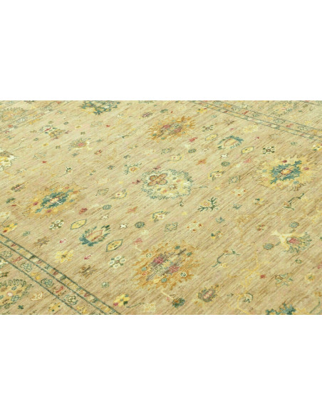 Tappeto Zigler Pakistan cm.170x249