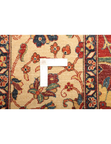 Tappeto Zigler Fine Pakistan cm.242x340